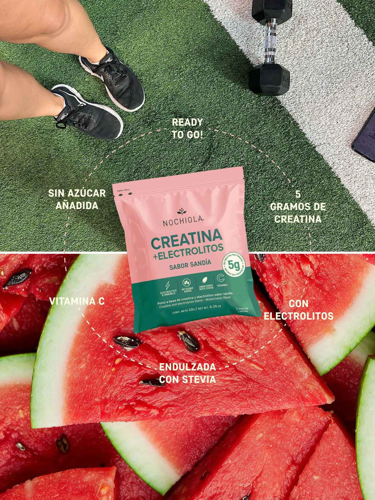 Creatina + electrolitos Sandia