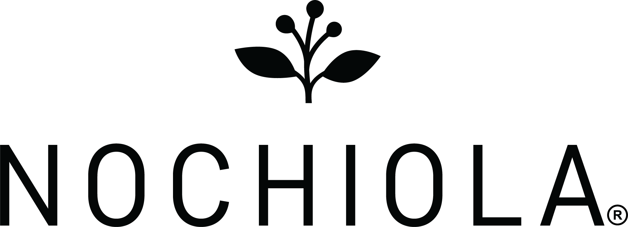 Nochiola